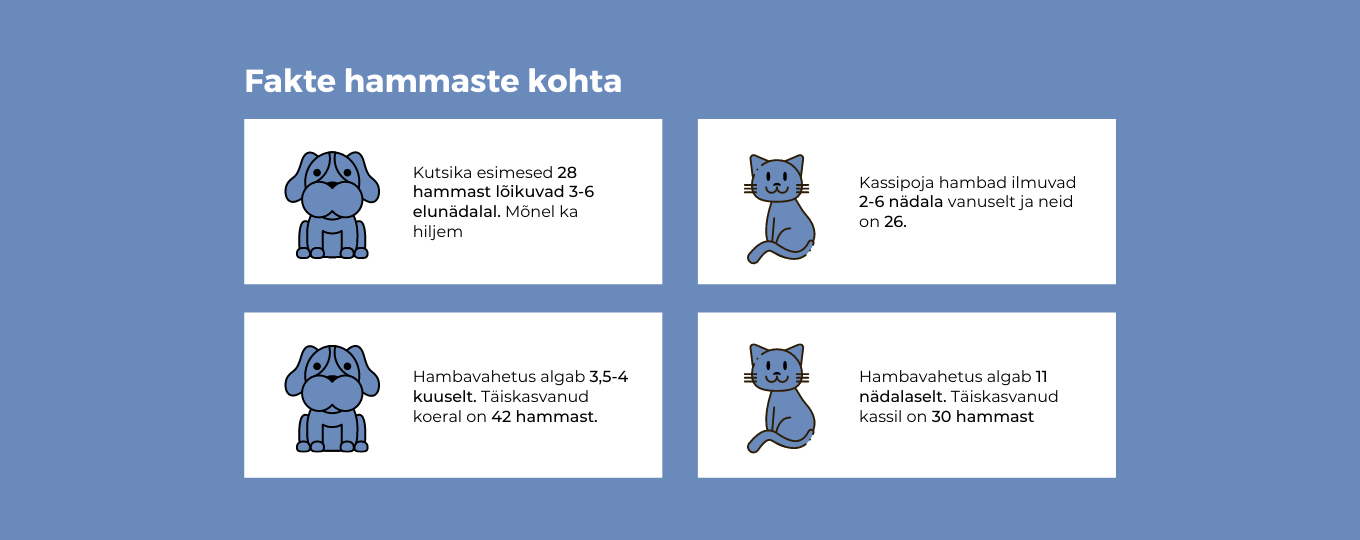 Fakte koerte ja kasside hammaste kohta